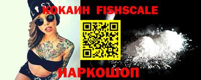 шишки Камышлов