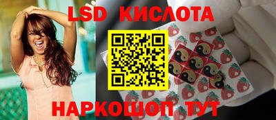 шишки Камышлов