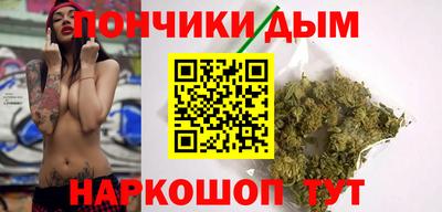 шишки Камышлов