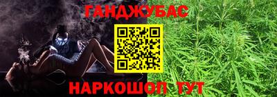 шишки Камышлов