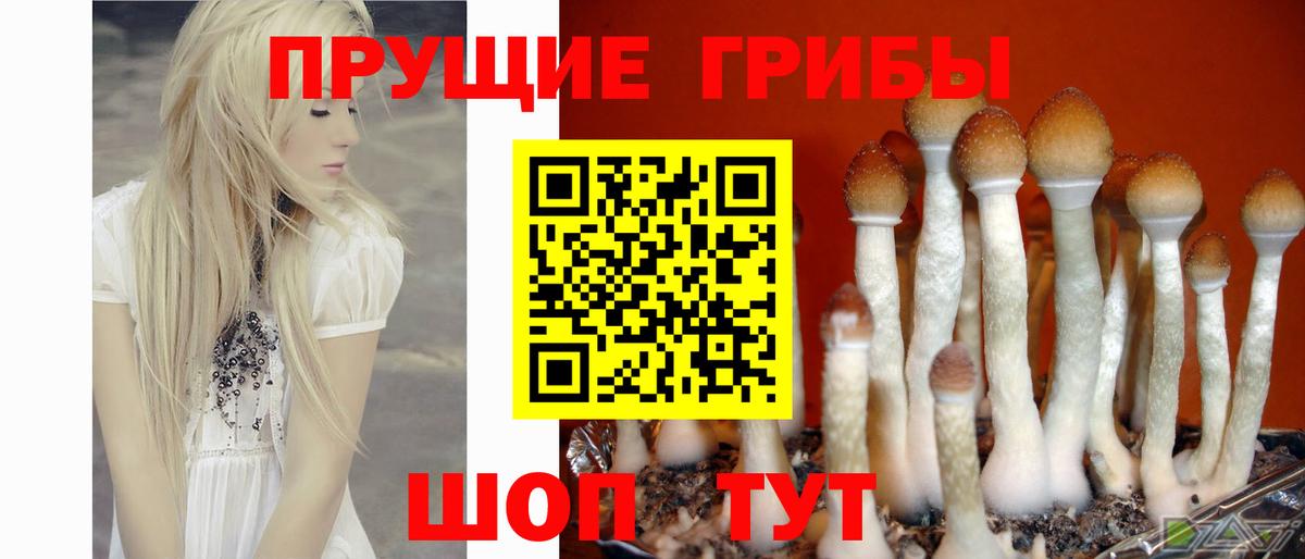 Галлюциногенные грибы ЛСД Кропоткин